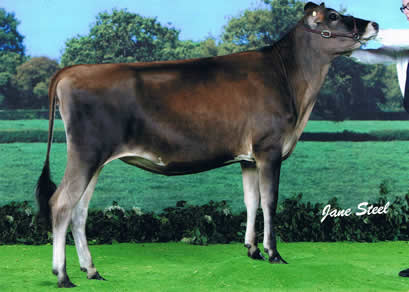 Bluegrass Tequilla Snowrise